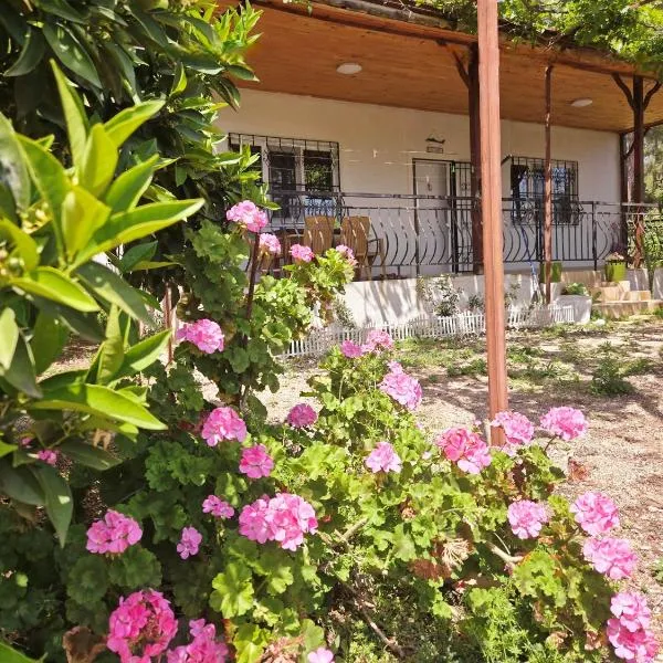 Olympos Orange Village Nature, Sea and You，位于Kumluca的酒店