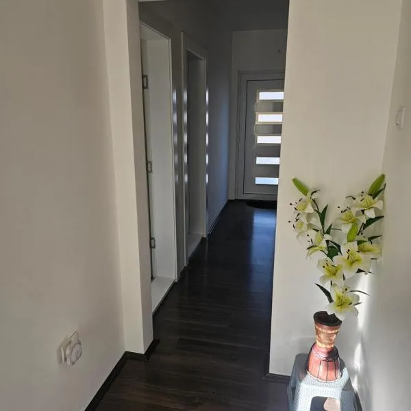 Ivys apartman，位于丘普里亚的酒店