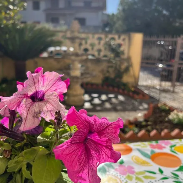 Nonna Ciccina’s House，位于Vita的酒店