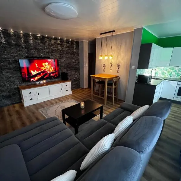 Green- Guest Apartment- Tapa，位于Tapa的酒店