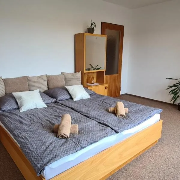 Apartmány Zelená Hora s velkou zahradou，位于达那撒扎乌的酒店