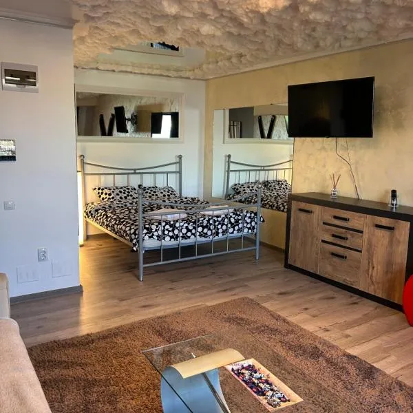 Dana Residence，位于弗洛雷什蒂的酒店