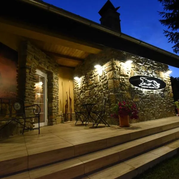 Cheetah Holiday Club，位于维佐维采的酒店