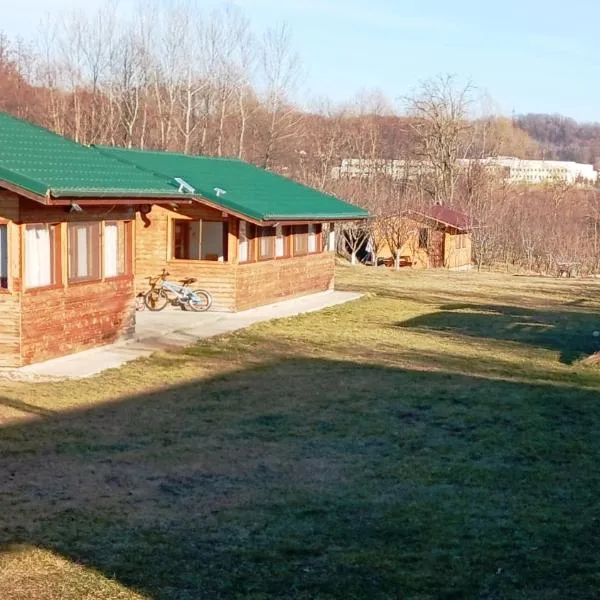 LA LIVADA，位于Valea Danului的酒店