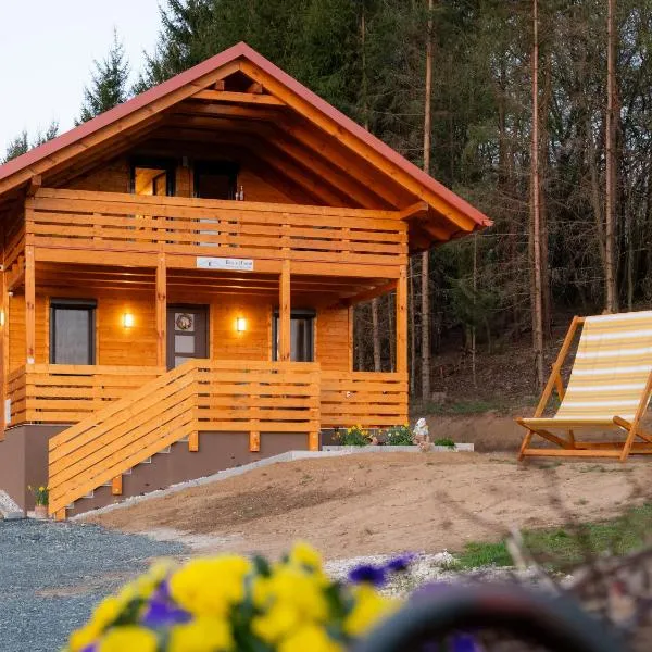 Era's Home Apartman，位于Apátistvánfalva的酒店