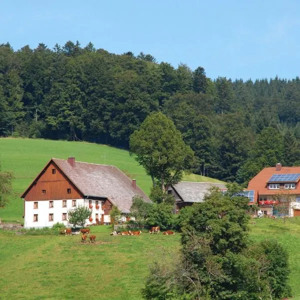 Baschijörgenhof，位于圣彼得的酒店