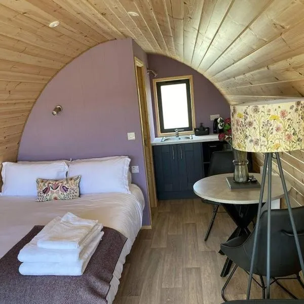 Dingle Wild - Luxury Pod，位于丁格尔的酒店