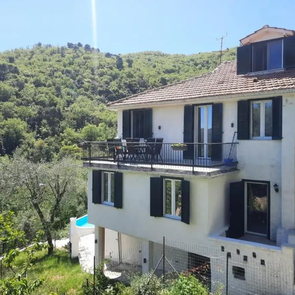 "Blue Villa" with private pool,BBQ in Andora，位于Moltedo的酒店