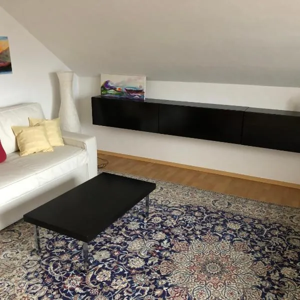 Ferienwohnung in Furth im Wald，位于林区富尔特的酒店