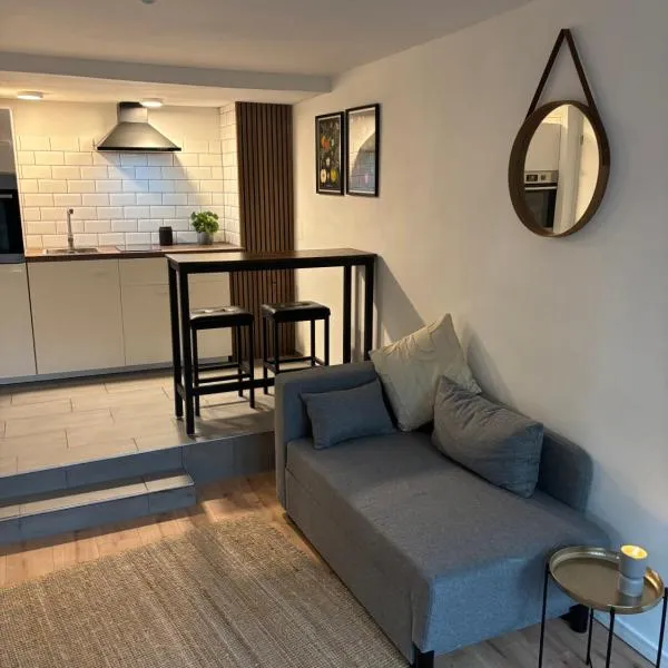 RIVERSIDE Cozy Apartment an der Weschnitz，位于Birkenau的酒店