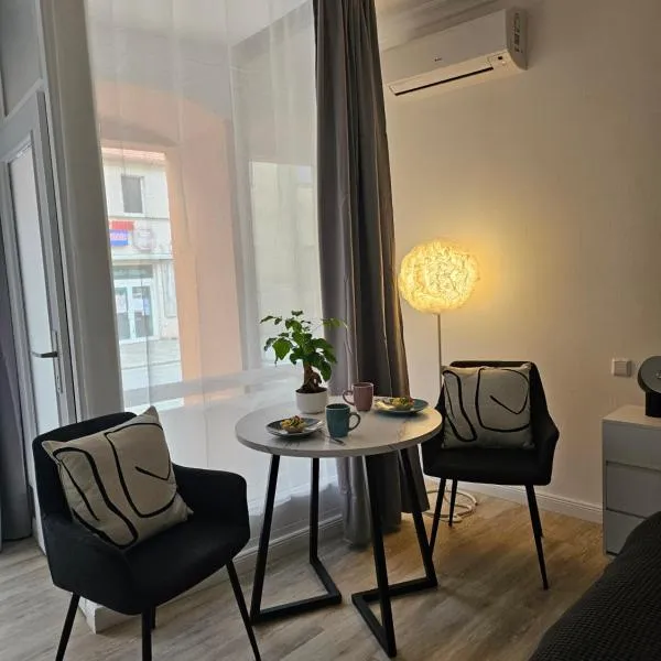 Ferienwohnung an der Alten Posthalterei，位于包岑的酒店