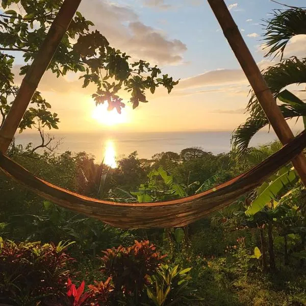 The Jungle，位于Mérida的酒店