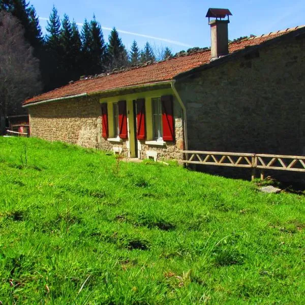 B&B Les Paddocks，位于Vollore-Montagne的酒店