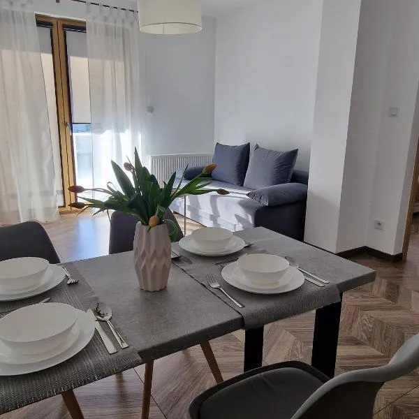 Apartament Jagiełły Park Olsztynek，位于奥尔什蒂内克的酒店