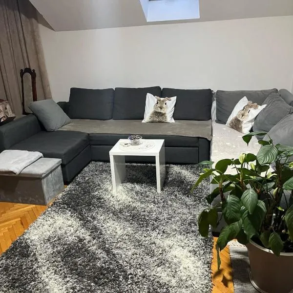 Apartman 1，位于Krnjača的酒店