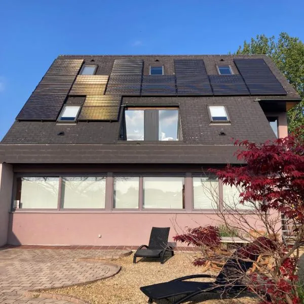 Bel-etage centraal gelegen in België max 8 pers, veel privacy，位于Denderleeuw的酒店