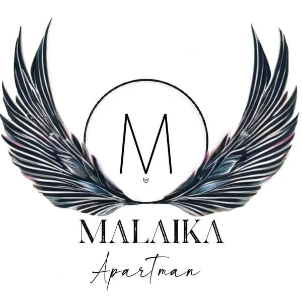 Malaika Apartman，位于沙托劳尔尧乌伊海伊的酒店