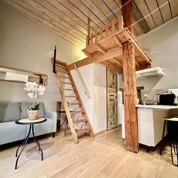 Agréable studio plein centre，位于圣戈当的酒店