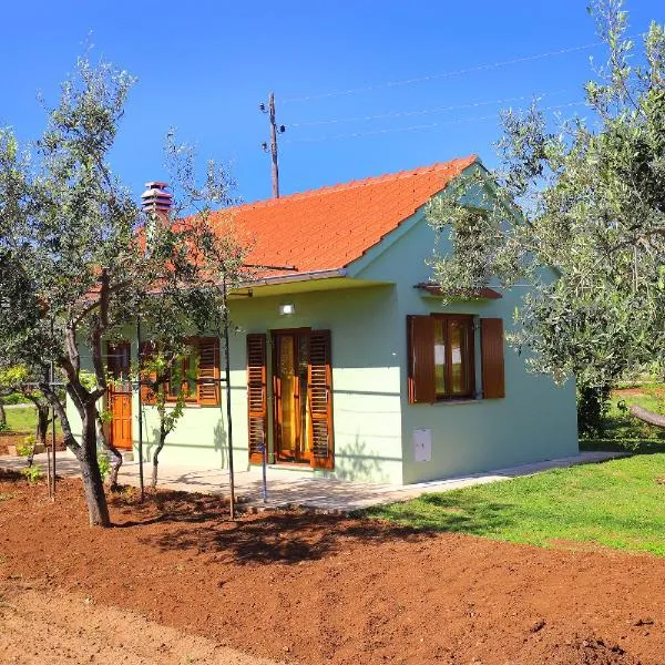 Holiday Home Zemljak，位于比比涅的酒店