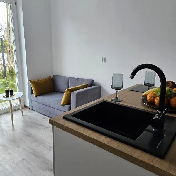 Rooms Hop To Wrocław，位于Czerńczyce的酒店