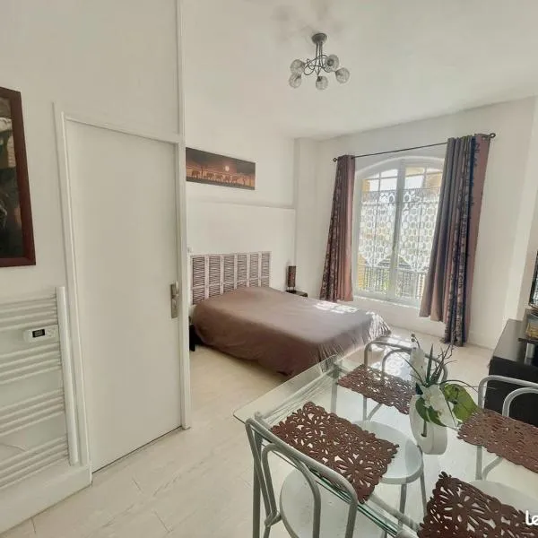 Appartement Cozy au coeur de la ville，位于沙泰勒吉永的酒店