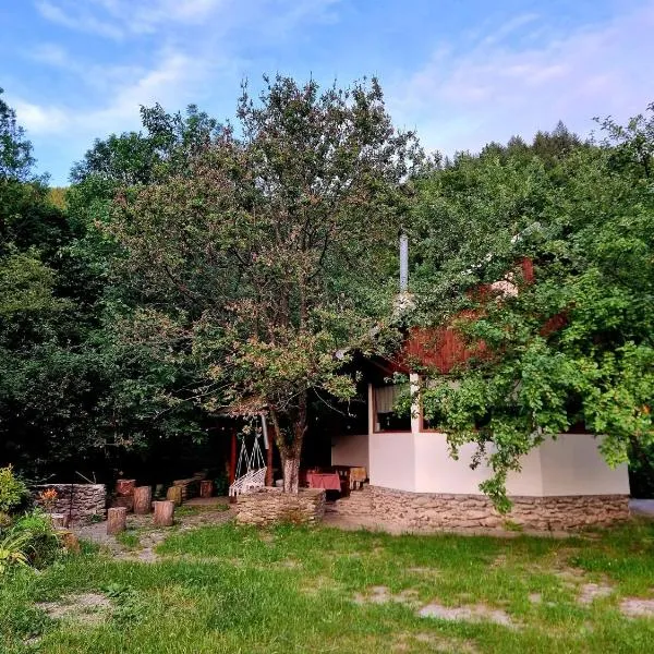 Biniște -Tiny House by the river，位于Dejani的酒店