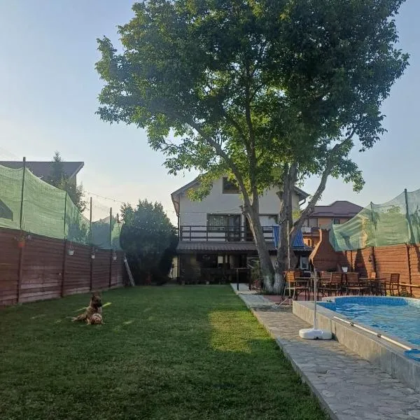 La Plantă-Therme Airport Bucharest，位于巴洛泰什蒂的酒店