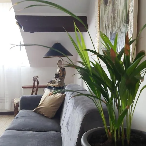 Classic Home Porto Maurizio，位于因佩里亚的酒店