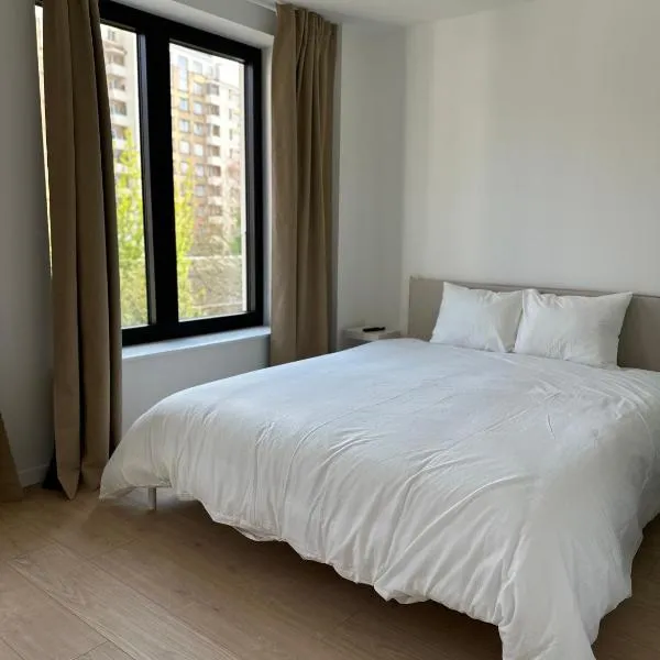 Suite élégante - apt de standing，位于布鲁塞尔的酒店