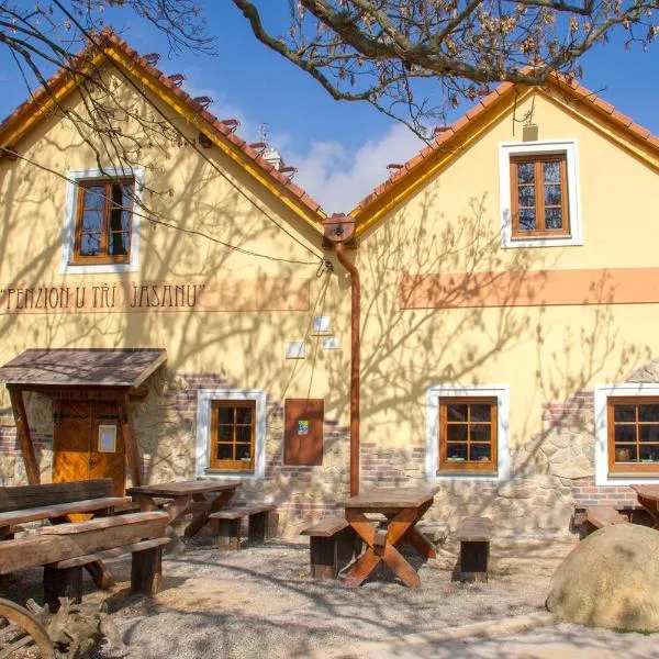 Restaurace & Penzion U Tří Jasanů，位于Suchohrdly的酒店