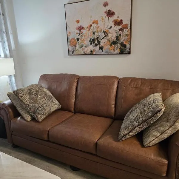 Comfy Apartment in Frisco，位于弗赖拉辛的酒店