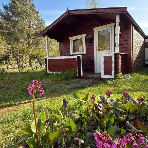 Cozy Camping Cabin，位于Hjelmeland的酒店