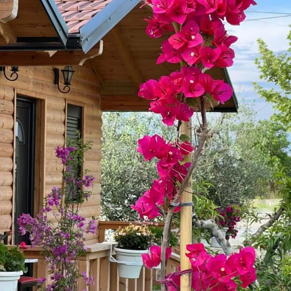 Guest House Dimal Berat，位于Pashalli的酒店