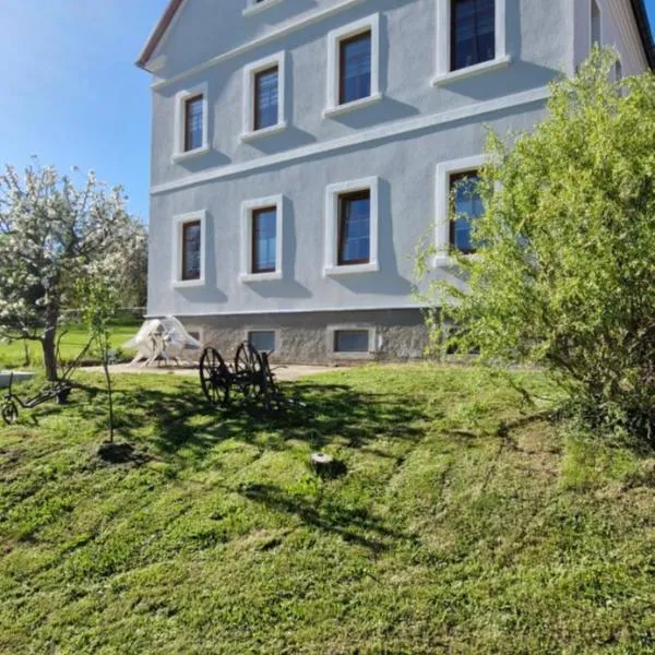 Ferienwohnung Schwalbennest1，位于大希尔马的酒店