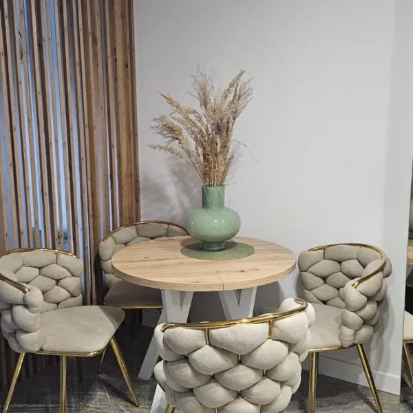 Apartament w Centrum 200 m od jeziora，位于奥莱茨科的酒店