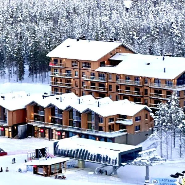 Luxury apartment with private jacuzzi and 2 ski passes in Levi!，位于列维的酒店