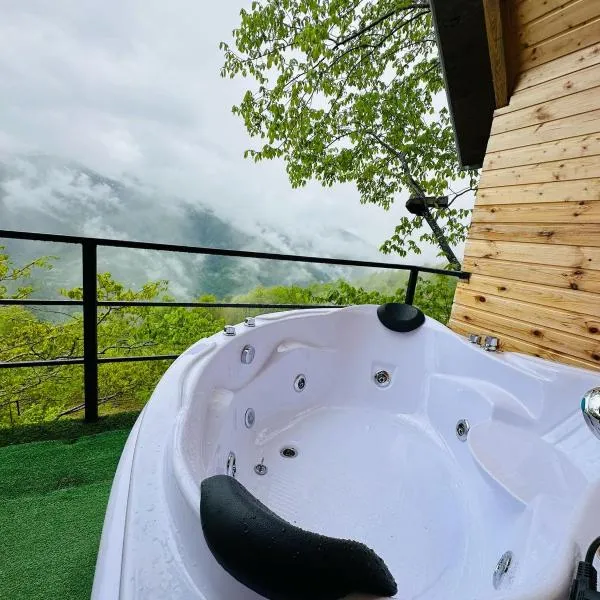 cottage panorama merisi，位于Inasharidzeebi的酒店