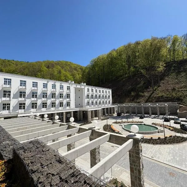 Dom Zdrojowy CECHINI，位于Żegiestów的酒店