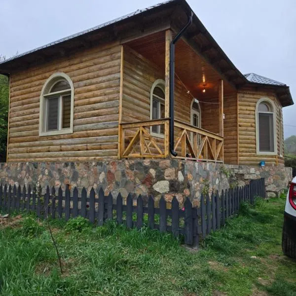 Shahdag wood house，位于库萨雷的酒店