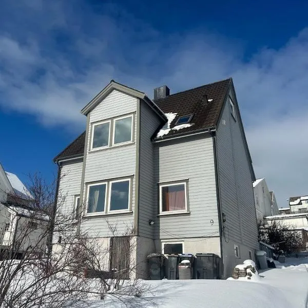 Apartment with short distance to the ski Adventure，位于纳尔维克的酒店