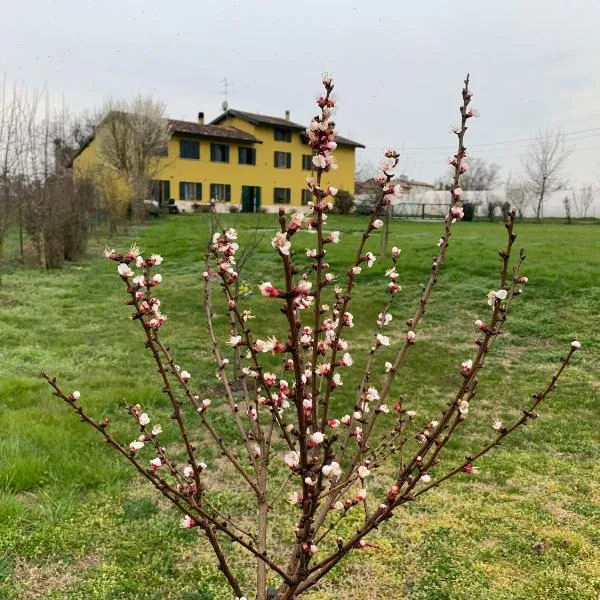 Sangiligio Countryside Villa, Private Rooms w Kitchen, Bath, Private Entrance, Crema，位于克雷马的酒店