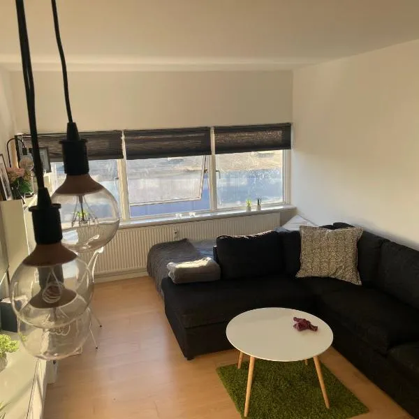 Small but cozy 1 bedroom Apartment with Living room，位于维兹奥勒的酒店