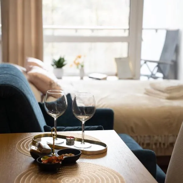 Apartament Ustroń 20，位于乌斯特龙的酒店