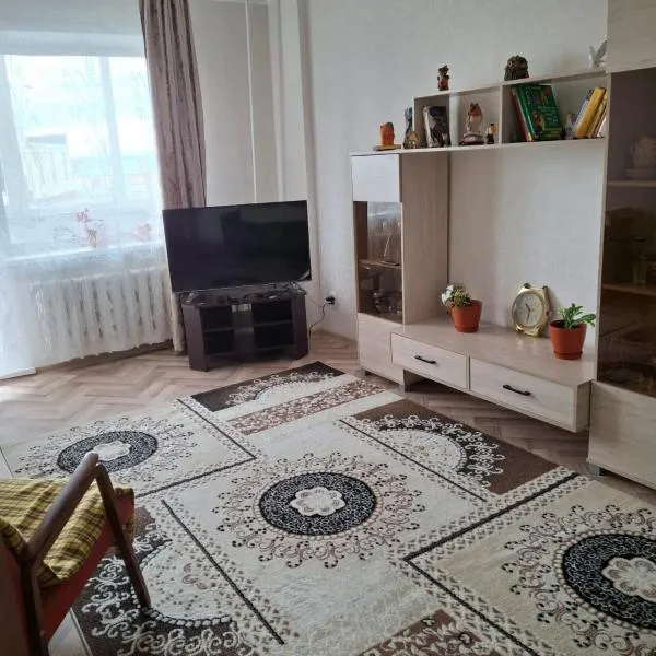 Двухкомнатная квартира в посёлке Боровое в Казахстане，位于博罗沃耶的酒店