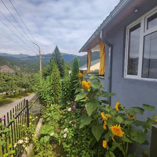 Sunny Lodge Dilijan，位于迪利然的酒店