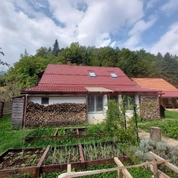 Apartman pri Kupi，位于Kuželj的酒店