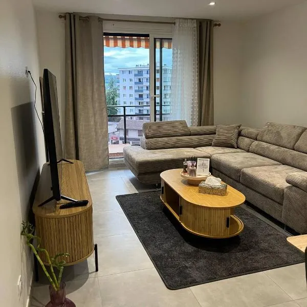 Annecy Naila's apartement，位于安锡的酒店