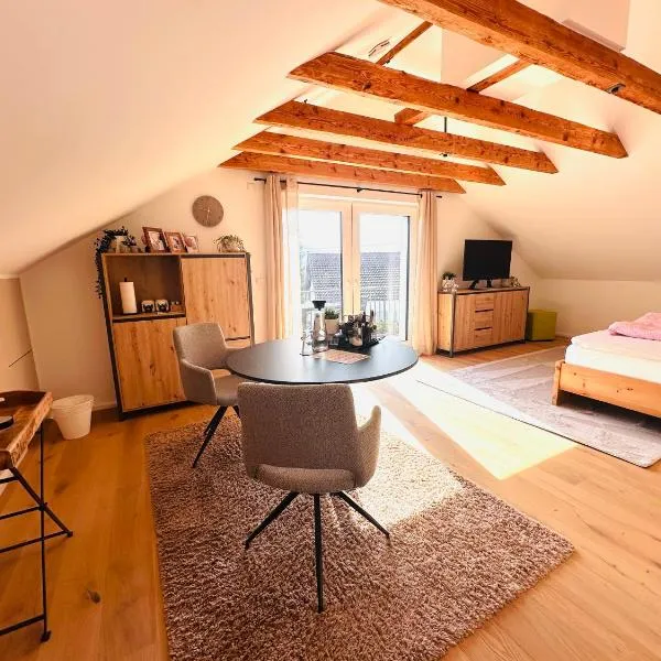 Alb Appartement - gemütliche Wohnung mit Balkon，位于巴林根的酒店