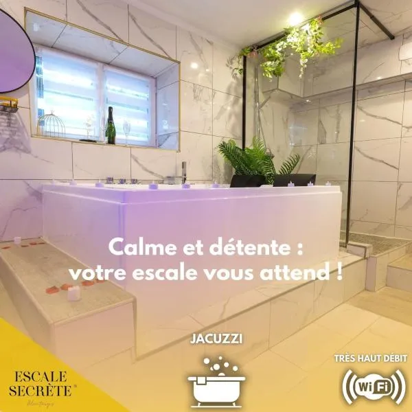Escale secrète Montargis Jacuzzi Terrasse Parking gratuit，位于蒙塔日的酒店