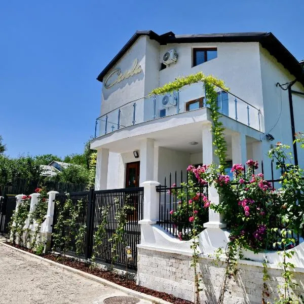 Pensiune CARLA，位于萨拉他蒙蒂鲁的酒店